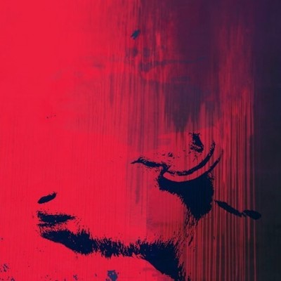 nekohunjatta Front Cover