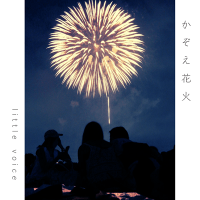 Counting the Fireworks Front Cover
