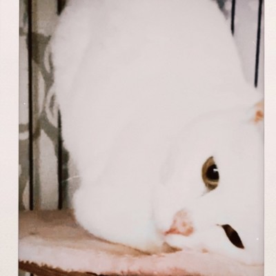 3月号のジャケット写真