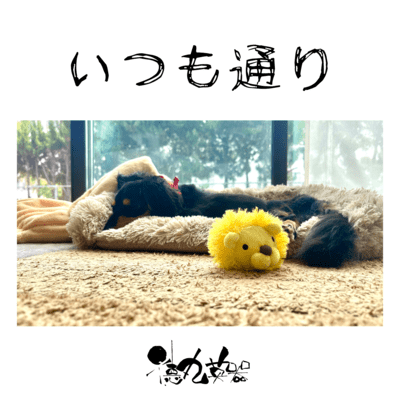 いつも通りのジャケット写真