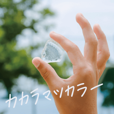 カカラマツカラーのジャケット写真