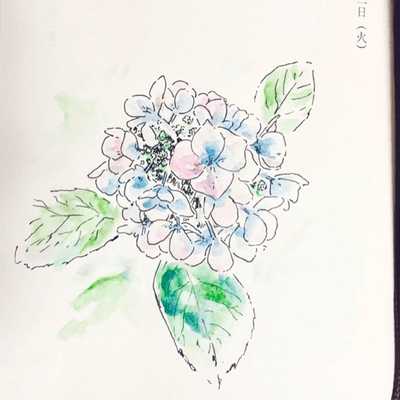 陽炎のジャケット写真