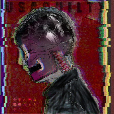少年の死は偶然だったのか。のジャケット写真