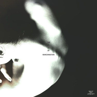 The Cycle of Reincarnation Front Cover