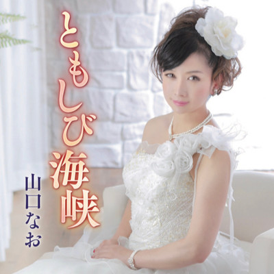 TomoshibiKaikyo Front Cover