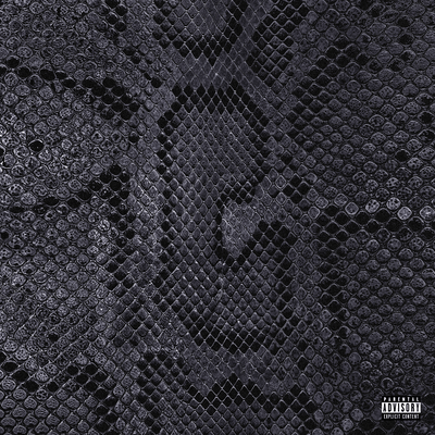 脱皮のジャケット写真