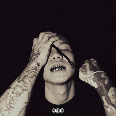 HOMUNCULUSのジャケット写真