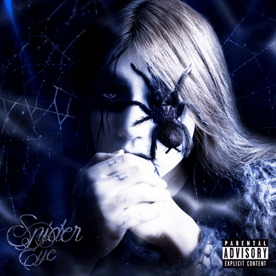 SpiderEye Front Cover
