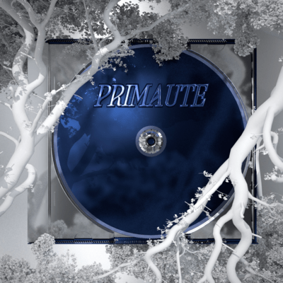 PRIMAUTEのジャケット写真