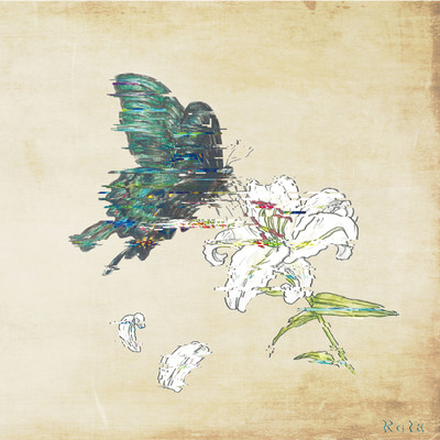 Ro-la Front Cover