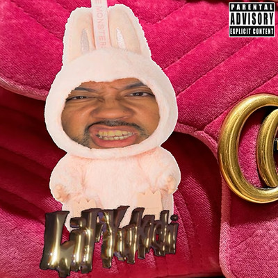 Labubu Freestyle Front Cover