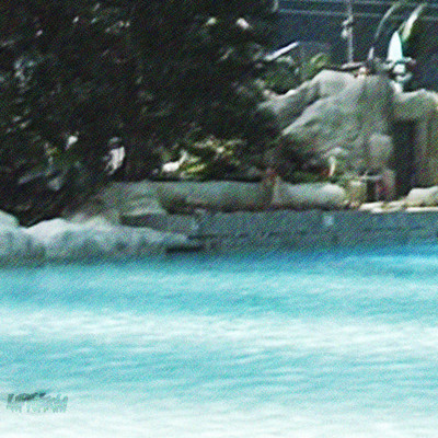 Wild Bluu Yokohama Front Cover