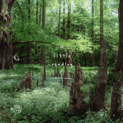 a little reading Front Cover