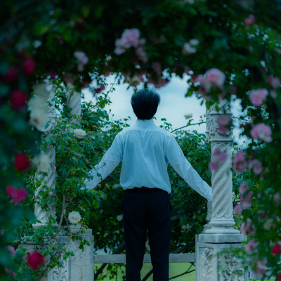 LOVE SWALLOW Front Cover