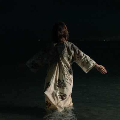 Telomeres Front Cover