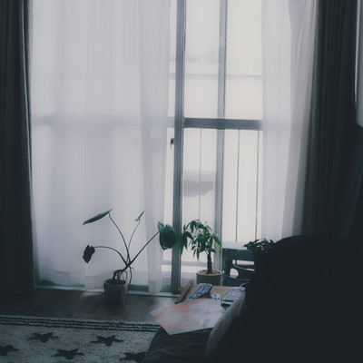 Seikatsunoyouna Front Cover