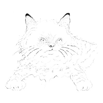 Abuku Front Cover