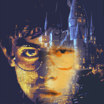 The boy who lived Front Cover