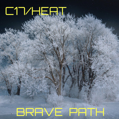 BRAVE PATHのジャケット写真