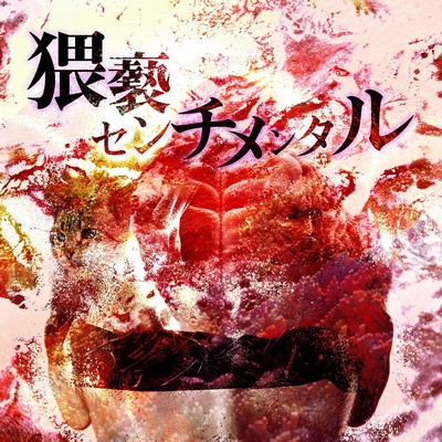 Waisetsusenchimentaru Front Cover