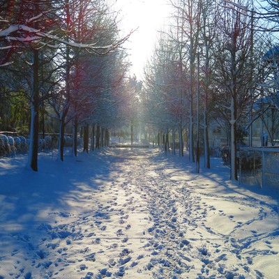 Don't go Front Cover