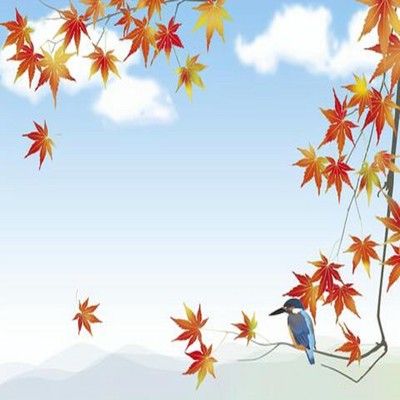 Blown by the afternoon wind Front Cover