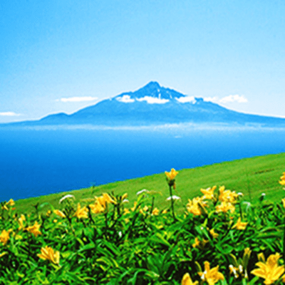 Rebun island flower tour Front Cover