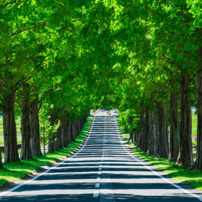 Restartのジャケット写真