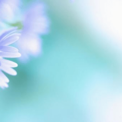 さよならのララバイのジャケット写真