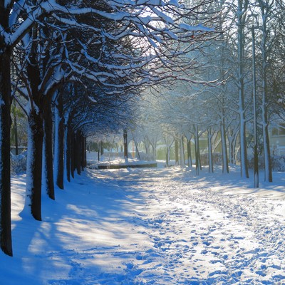 Don't go Front Cover