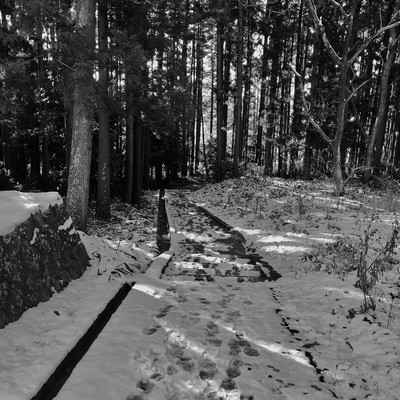 bad year Front Cover