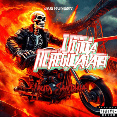 I'm not a regular artist Front Cover