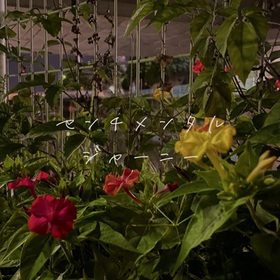 センチメンタルジャーニーのジャケット写真