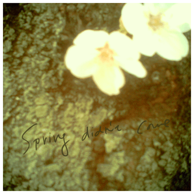 Spring didn't come Front Cover