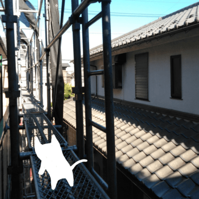 Let's Go Outside Today Front Cover