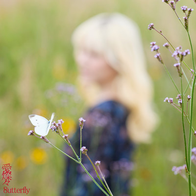 愛燦々のジャケット写真