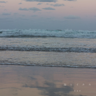 Sea and Dolphin Front Cover