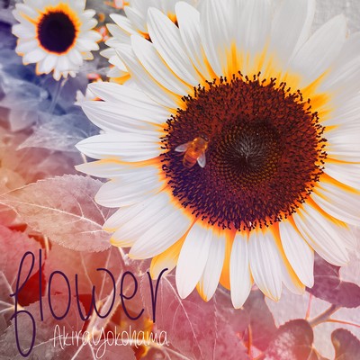 flowerのジャケット写真