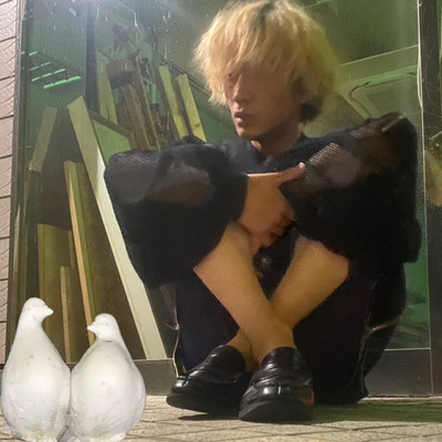 駆けてみるのジャケット写真