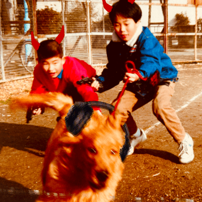 続くセールス・マネジメント・ロックンロールのジャケット写真