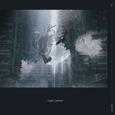 Light Seeker Front Cover