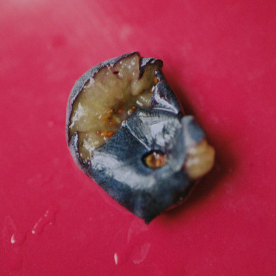 cell divisionのジャケット写真