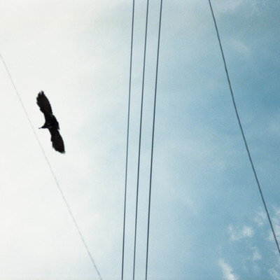 no problemのジャケット写真