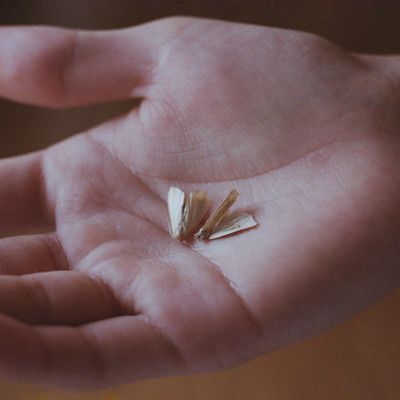 raise: tiryagyoni Front Cover