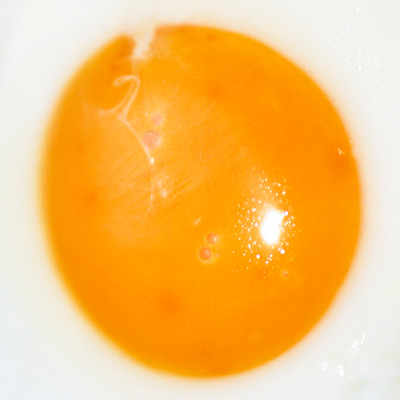 raise: preta Front Cover