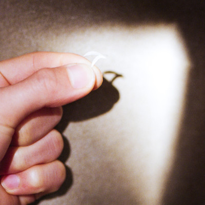 the master fishのジャケット写真