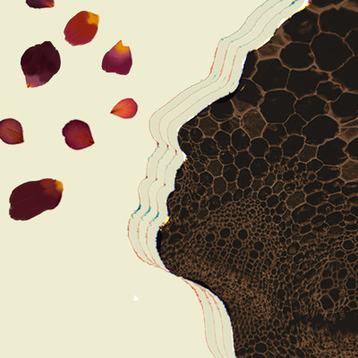 Blossoms Fall (feat. Issei) Front Cover