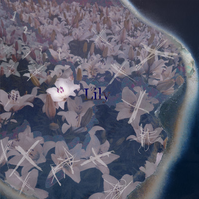Lilyのジャケット写真