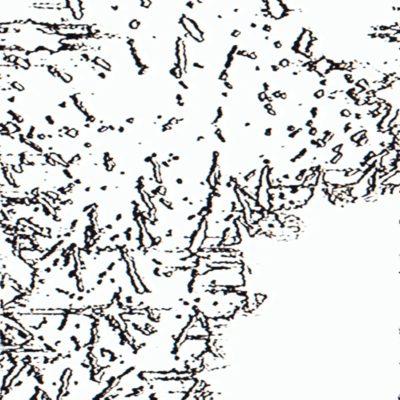 wavyyのジャケット写真