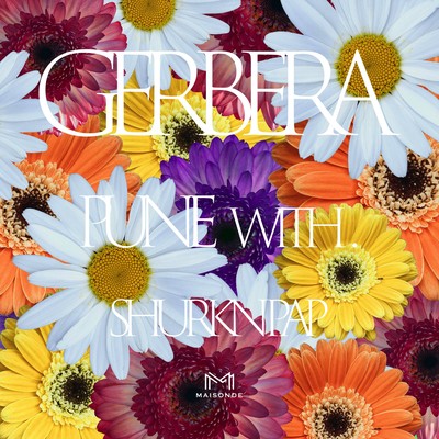 Gerbera (feat. Shurkn Pap)のジャケット写真